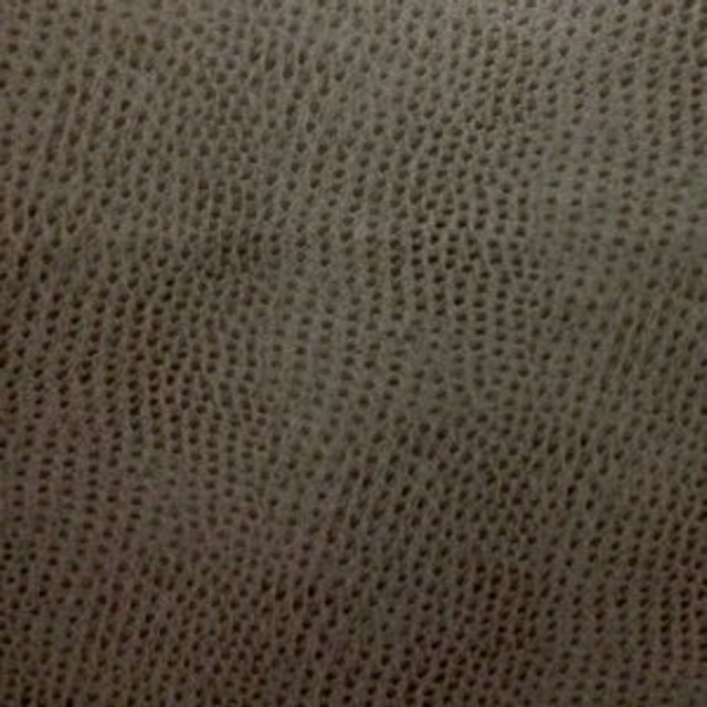 Ostrich Charcoal So 352 by Norbar Designer Fabric 100% POLYURETHANE 54 - Swanky Fabrics -