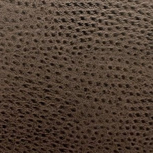 Ostrich Chocolate So 373 by Norbar Designer Fabric 100% POLYURETHANE 54 - Swanky Fabrics -