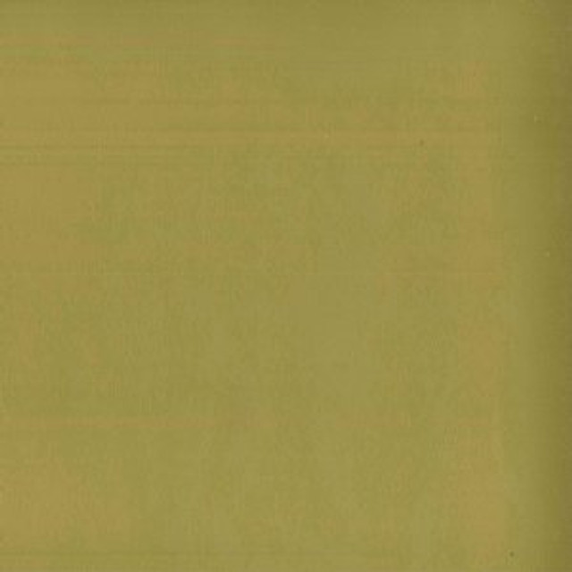 Tally Citron 54 by Norbar Designer Fabric ENVICTA 100% POLYURETHANE CHINA 54 - Swanky Fabrics -