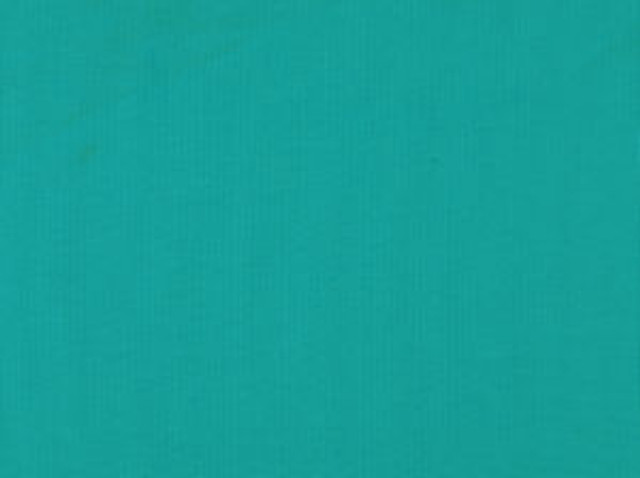 Zolic Caribe 542 by Norbar Designer Fabric HEAT WAVE 100% POLYPROPYLENE TURKEY 54 - Swanky Fabrics -