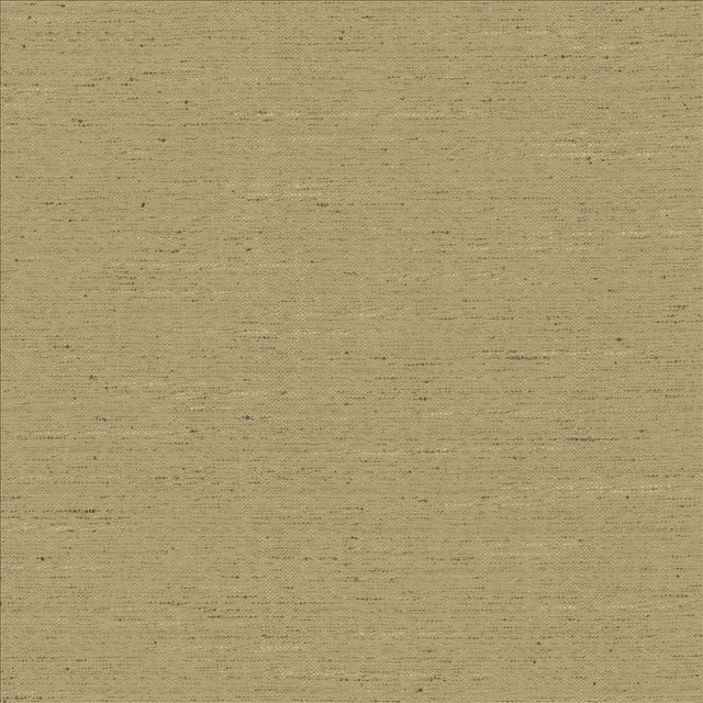 Adjoin Latte  by Kasmir Designer Fabric 5170 100% Polyester
 INDIA 5,000 Wyzenbeek Double Rubs Horizontal: N/A and Vertical: N/A 54  - Swanky Fabrics -