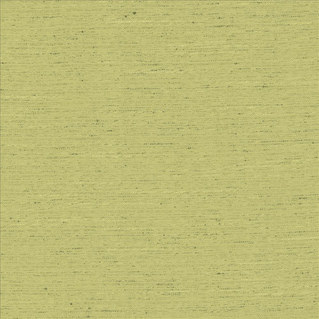 Adjoin Willow  by Kasmir Designer Fabric 5170 100% Polyester
 INDIA 5,000 Wyzenbeek Double Rubs Horizontal: N/A and Vertical: N/A 54  - Swanky Fabrics -