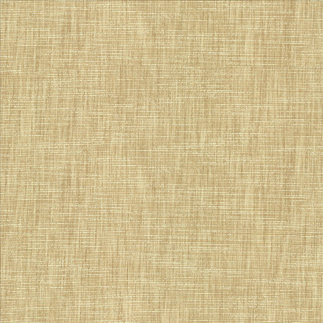 Beltran Bisque  by Kasmir Designer Fabric 5163 100% Polyester
 INDIA 20,000 Wyzenbeek Double Rubs Horizontal: N/A and Vertical: N/A 54  - Swanky Fabrics -