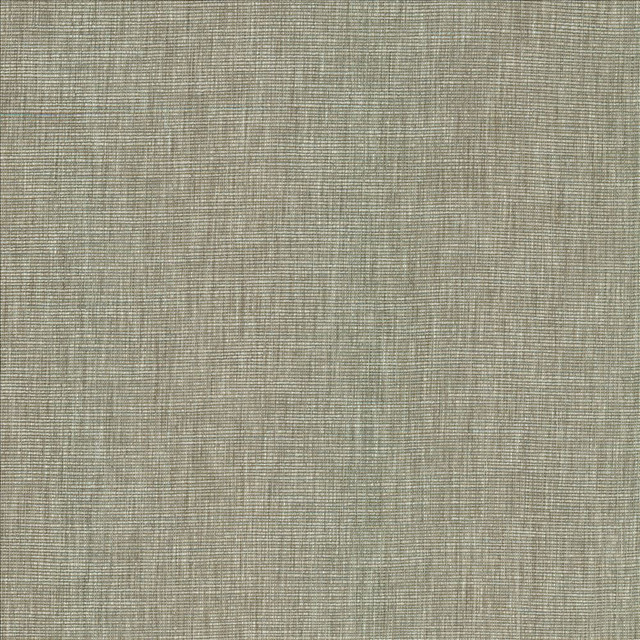 Beltran Elephant  by Kasmir Designer Fabric 5163 100% Polyester
 INDIA 20,000 Wyzenbeek Double Rubs Horizontal: N/A and Vertical: N/A 54  - Swanky Fabrics -