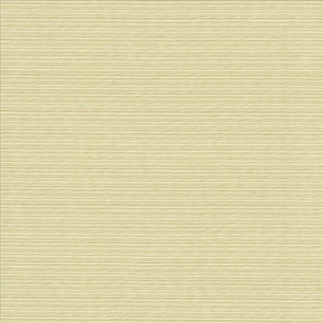 Burke Angora  by Kasmir Designer Fabric 5163 100% Polyester
 INDIA Not Tested Horizontal: N/A and Vertical: N/A 54  - Swanky Fabrics -