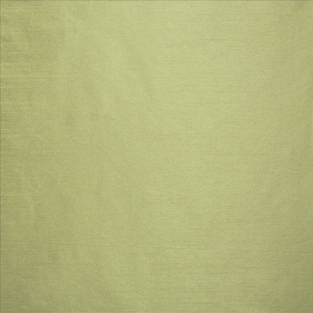 Complementary Stem  by Kasmir Designer Fabric 5168 100% Polyester
 INDIA Not Tested Horizontal: N/A and Vertical: N/A 54  - Swanky Fabrics -