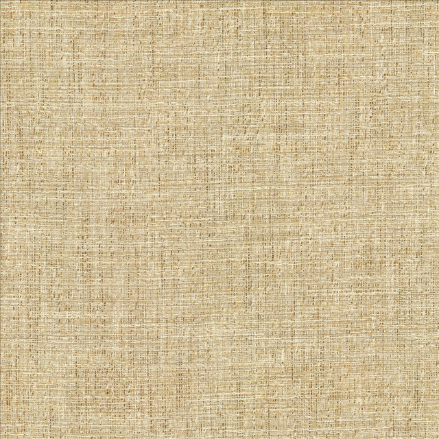 Evangeline Sisal  by Kasmir Designer Fabric 1461 72% Polyester
19% Cotton
9% Rayon
 INDIA 30,000 Wyzenbeek Double Rubs Horizontal: N/A and Vertical: N/A 56  - Swanky Fabrics -