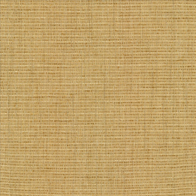 Integrity Golden  by Kasmir Designer Fabric 5171 66% Polyester
22% Olefin
12% Cotton
 USA 50,000 Wyzenbeek Double Rubs Horizontal: N/A and Vertical: N/A 54  - Swanky Fabrics -
