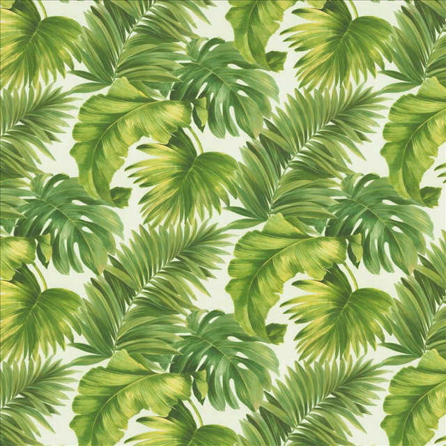 Keanu Palm 55 Green  by Kasmir Designer Fabric 1453 65% Polyester
35% Cotton
 SPAIN 40,000 Martindale Cycles Horizontal: 27 5/8 inches and Vertical: 24 4/8 inches 55  - Swanky Fabrics -