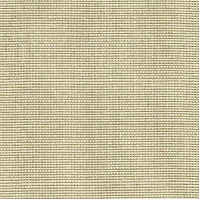 Lunar Crossing Natural  by Kasmir Designer Fabric 1457 100% Polyester
 INDIA 30,000 Wyzenbeek Double Rubs Horizontal: N/A and Vertical: N/A 56  - Swanky Fabrics -