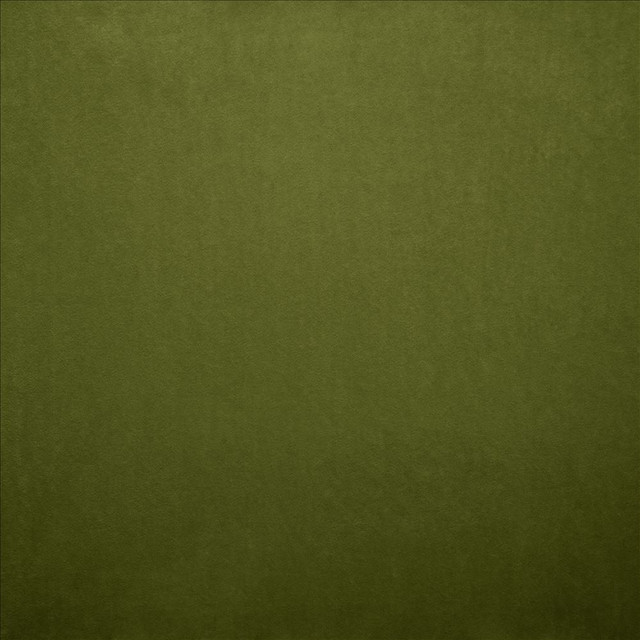 Nampara Fern  by Kasmir Designer Fabric 5167 100% Polyester
 CHINA 105,000 Wyzenbeek Double Rubs Horizontal: N/A and Vertical: N/A 58  - Swanky Fabrics -