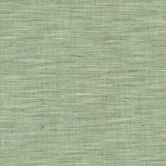 Nikita Aquamarine  by Kasmir Designer Fabric 1461 100% Polyester
 INDIA 30,000 Wyzenbeek Double Rubs Horizontal: N/A and Vertical: N/A 54  - Swanky Fabrics -