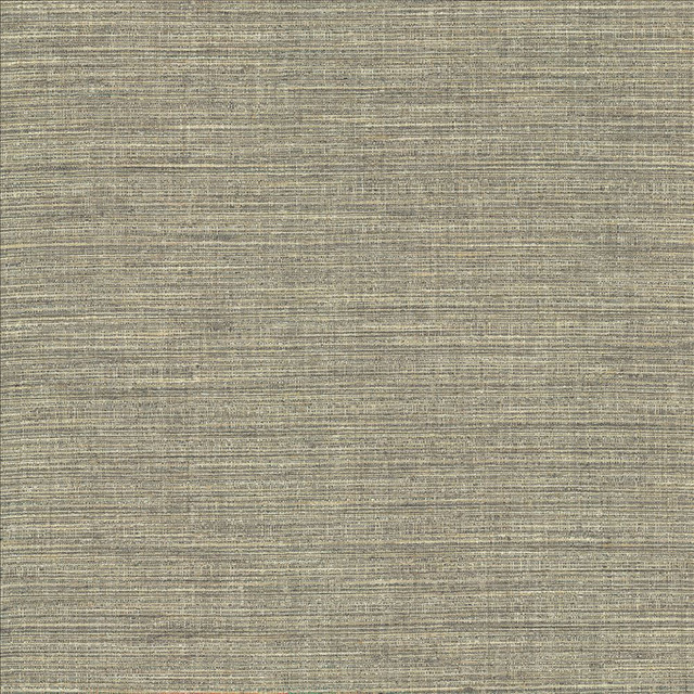 Nikita Cloud  by Kasmir Designer Fabric 1461 100% Polyester
 INDIA 30,000 Wyzenbeek Double Rubs Horizontal: N/A and Vertical: N/A 54  - Swanky Fabrics -