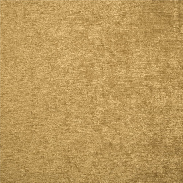 Splendid Vintage Gold  by Kasmir Designer Fabric 5172 100% Polyester
 INDIA 80,000 Wyzenbeek Double Rubs Horizontal: N/A and Vertical: N/A 55  - Swanky Fabrics -