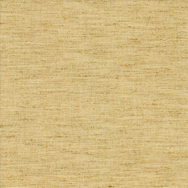 Willa Midas  by Kasmir Designer Fabric 1461 100% Polyester
 INDIA 30,000 Wyzenbeek Double Rubs Horizontal: N/A and Vertical: N/A 56  - Swanky Fabrics -