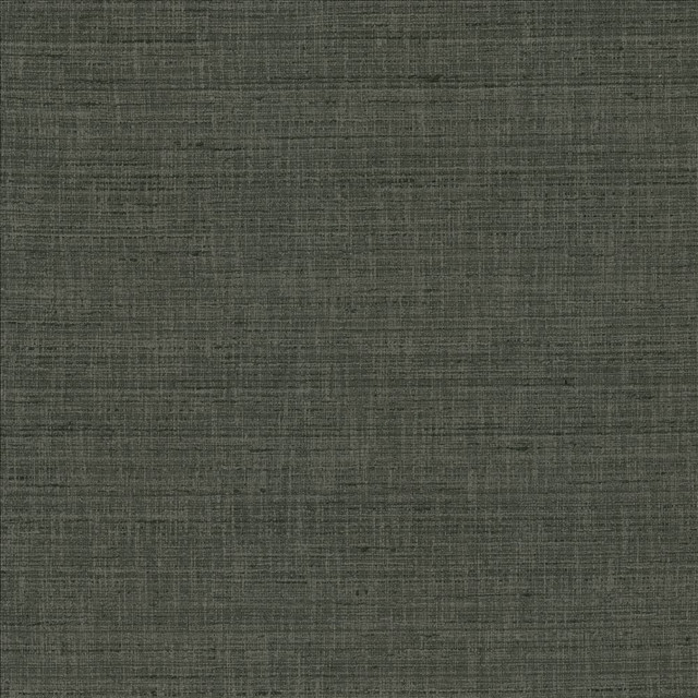 With A View Stone  by Kasmir Designer Fabric 5170 63% Polyester
37% Cotton
 INDIA 50,000 Wyzenbeek Double Rubs Horizontal: N/A and Vertical: N/A 54  - Swanky Fabrics -