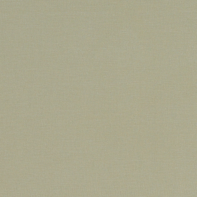 F1097 30 Alora Khaki by Clarke and Clarke Designer Fabric STUDIO G COTTON - 100% Spain HEAVY Horizontal: 0 and Vertical: 0 54 - Swanky Fabrics -