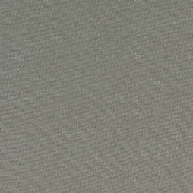 F1097 38 Alora Mink by Clarke and Clarke Designer Fabric STUDIO G COTTON - 100% Spain HEAVY Horizontal: 0 and Vertical: 0 54 - Swanky Fabrics -