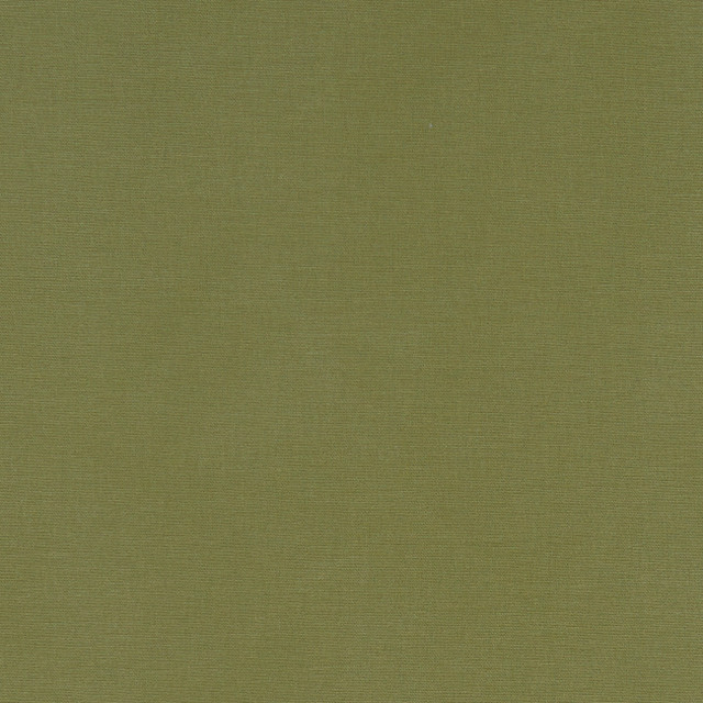F1097 41 Alora Moss by Clarke and Clarke Designer Fabric STUDIO G COTTON - 100% Spain HEAVY Horizontal: 0 and Vertical: 0 54 - Swanky Fabrics -