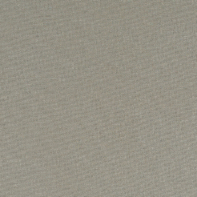 F1097 66 Alora Taupe by Clarke and Clarke Designer Fabric STUDIO G COTTON - 100% Spain HEAVY Horizontal: 0 and Vertical: 0 54 - Swanky Fabrics -