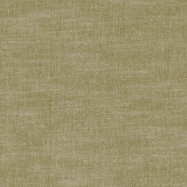 F1239 41 Amalfi Moss by Clarke and Clarke Designer Fabric CLARKE & CLARKE COTTON - 77%;POLYESTER - 23% India HEAVY Horizontal: 0 and Vertical: 0 54 - Swanky Fabrics -