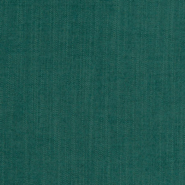 D1077 Jade by Charlotte Designer Fabric Crypton Colors 100% Woven Polyester China Exceeds 100,000 Wyzenbeek Rubs (Heavy Duty) No Repeat 54 Inches - Swanky Fabrics -