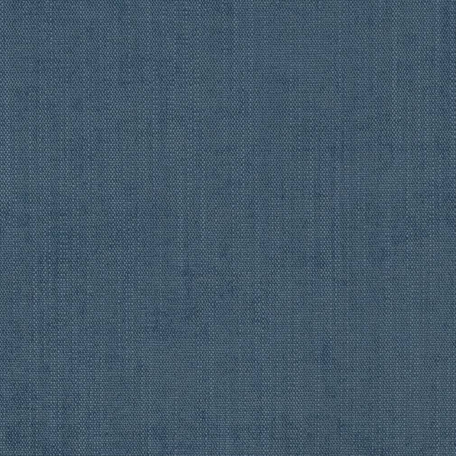 D1079 Wedgewood by Charlotte Designer Fabric Crypton Colors 100% Woven Polyester China Exceeds 100,000 Wyzenbeek Rubs (Heavy Duty) No Repeat 54 Inches - Swanky Fabrics -