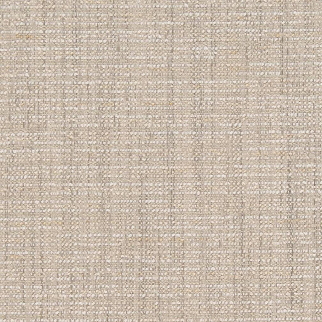 D1198 Ecru by Charlotte Designer Fabric Crypton Neutrals 100% Woven Polyester China Exceeds 100,000 Wyzenbeek Rubs (Heavy Duty) No Repeat 54 Inches - Swanky Fabrics -