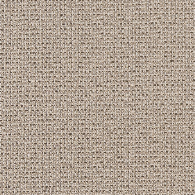 D1447 Ecru Texture by Charlotte Designer Fabric Vibrant Wovens 100% Woven Polypropylene Europe Exceeds 100,000 Wyzenbeek Rubs (Heavy Duty) No Repeat 54 Inches - Swanky Fabrics -