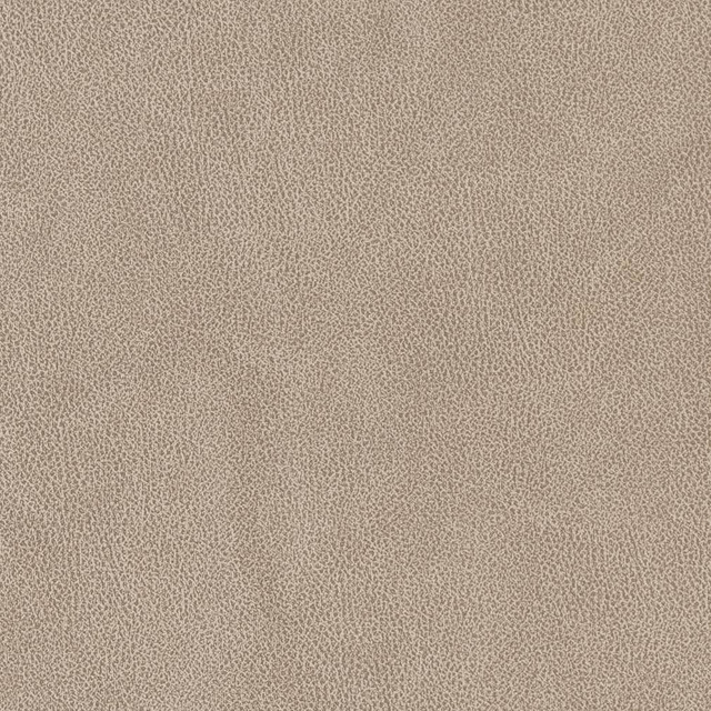 V500 Sandstone by Charlotte Designer Fabric Breathables IV 100% Breathable Polyurethane, 26oz. China Exceeds 250,000 Wyzenbeek Rubs (Heavy Duty) No Repeat 54 Inches - Swanky Fabrics -