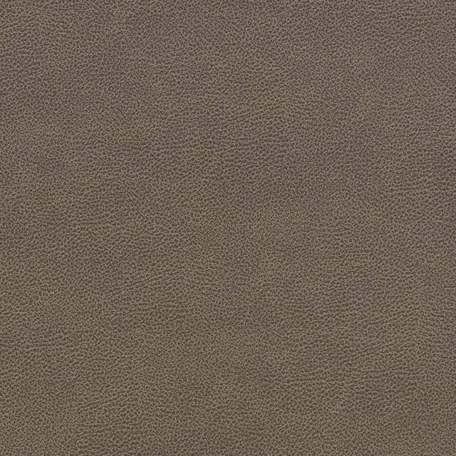 V507 Ash by Charlotte Designer Fabric Breathables IV 100% Breathable Polyurethane, 26oz. China Exceeds 250,000 Wyzenbeek Rubs (Heavy Duty) No Repeat 54 Inches - Swanky Fabrics - V507 Ash by Charlotte Designer Fabric Breathables IV 100% Breathable Polyurethane, 26oz. China Exceeds 250,000 Wyzenbeek Rubs (Heavy Duty) No Repeat 54 Inches - Swanky Fabrics -