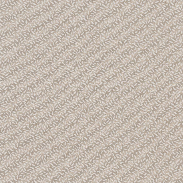 CB700-346 by Charlotte Designer Fabric Shades of Neutral 52% Polyester, 34% Cotton, 14% Acrylic Spain Exceeds 50,000 Wyzenbeek Rubs (Heavy Duty) No Repeat 54 Inches - Swanky Fabrics -