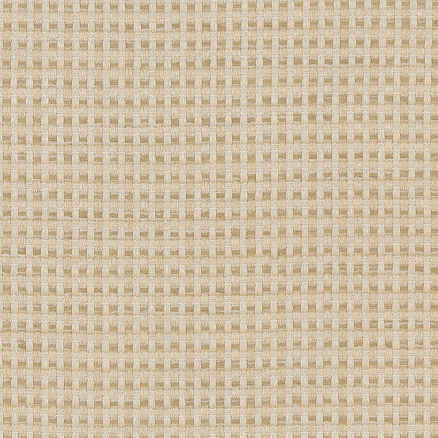 CB700-374 by Charlotte Designer Fabric Shades of Neutral 100% Woven Polyester China Exceeds 60,000 Wyzenbeek Rubs (Heavy Duty) No Repeat 54 Inches - Swanky Fabrics -