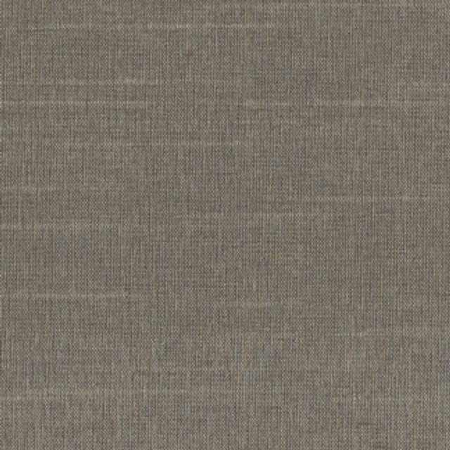Succulent Cement by Carole Designer Fabric Succulent,Succulent II 100% POLYESTER INDIA N/A </p><p>Repeat: NONE 54" - Swanky Fabrics -