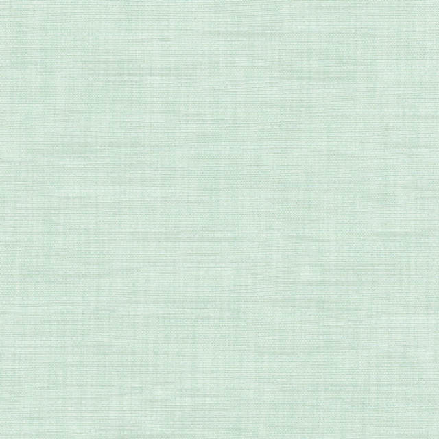 Athlete Seafoam by Carole Designer Fabric Celadon 60% Cotton, 40% Polyester India Passes 50,000 Double Rubs Wyzenbeek </p><p>Repeat: None 55" - Swanky Fabrics - Athlete Seafoam by Carole Designer Fabric Celadon 60% Cotton, 40% Polyester India Passes 50,000 Double Rubs Wyzenbeek </p><p>Repeat: None 55" - Swanky Fabrics -