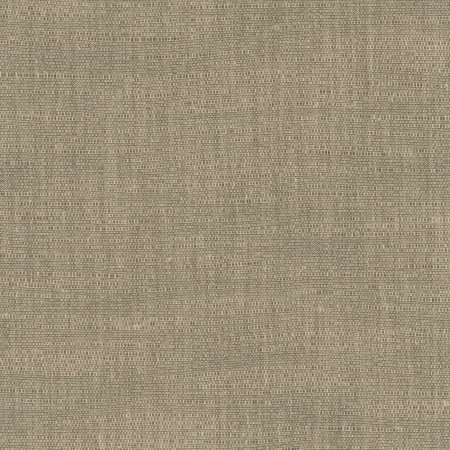 Athlete Taupe by Carole Designer Fabric Chestnut 60% Cotton, 40% Polyester India Passes 50,000 Double Rubs Wyzenbeek </p><p>Repeat: None 55" - Swanky Fabrics -