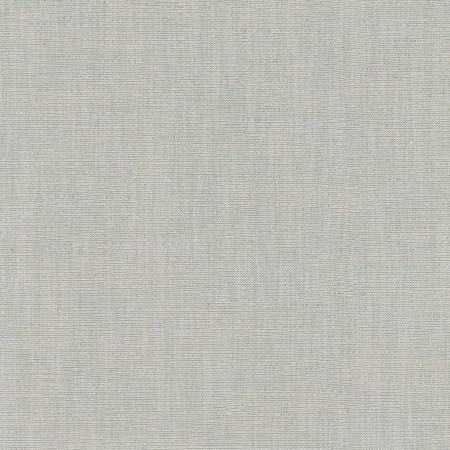 Athlete Sterling by Carole Designer Fabric Pewter 60% Cotton, 40% Polyester India Passes 50,000 Double Rubs Wyzenbeek </p><p>Repeat: None 55" - Swanky Fabrics -