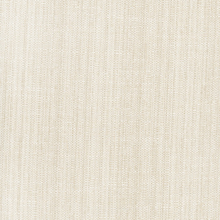Rock Wall Raffia by Carole Designer Fabric Opal 83% Polyester, 12% Cotton, 5% Rayon India N/A </p><p>Repeat: None 55" - Swanky Fabrics -