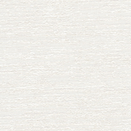 Stampede Off White by Carole Designer Fabric Opal 100% Polyester India N/A </p><p>Repeat: None 54" - Swanky Fabrics -