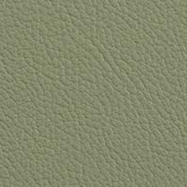Vista Aloe VIS-37 by Omnova Designer Fabric See sample 100% Vinyl USA or Imported Water-based cleaning agents and foam may be used for cleaning. Cleaning by a professional cleaning service is recommended. </p><p>Repeat: Horizontal: and Vertical: 54" - Swanky Fabrics -