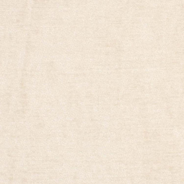 Sovereign Cream by RM CoCo Designer Fabric ROYAL PLUSH F06**** 75% RAYON 25% POLYESTER Horizontal: 0 and Vertical: 0 55 - Swanky Fabrics -