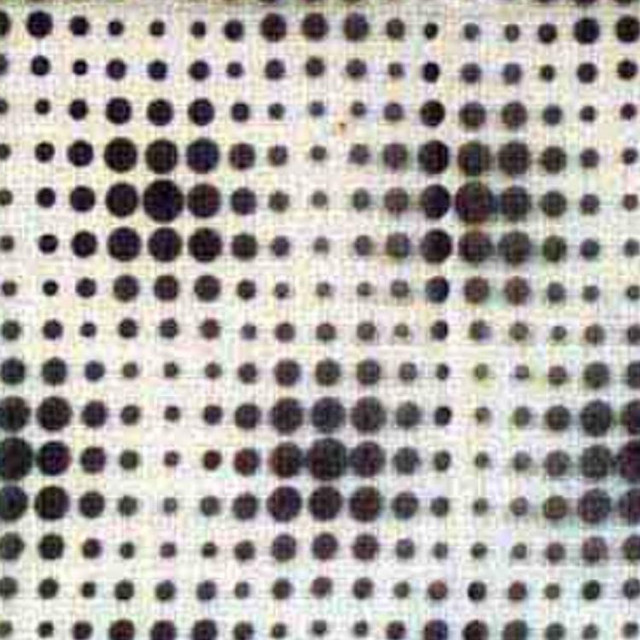 Dotted Line Platinum by RM CoCo Designer Fabric Sheers, Etc. - Wesco 70% POLYESTER 30% RAYON Horizontal: 10.25 and Vertical: 6.25 51.25 - Swanky Fabrics -