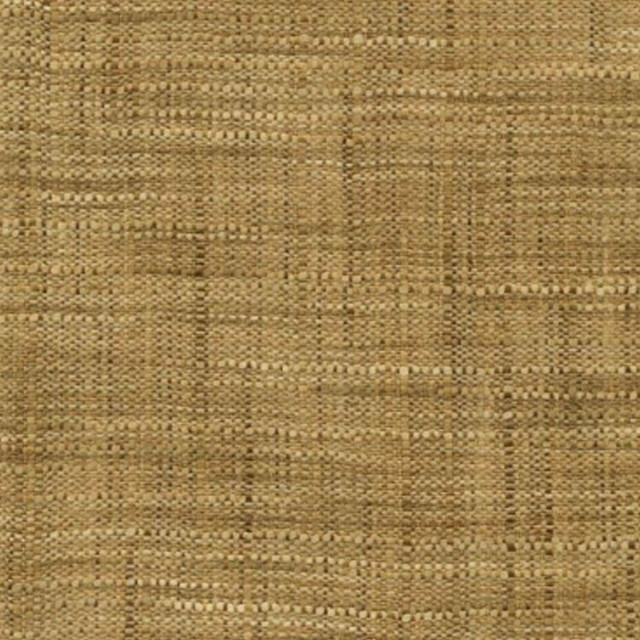 Brookside Caramel by RM CoCo Designer Fabric Color Inspirations - Earth 100% POLYESTER Horizontal: 0 and Vertical: 0 53 - Swanky Fabrics -