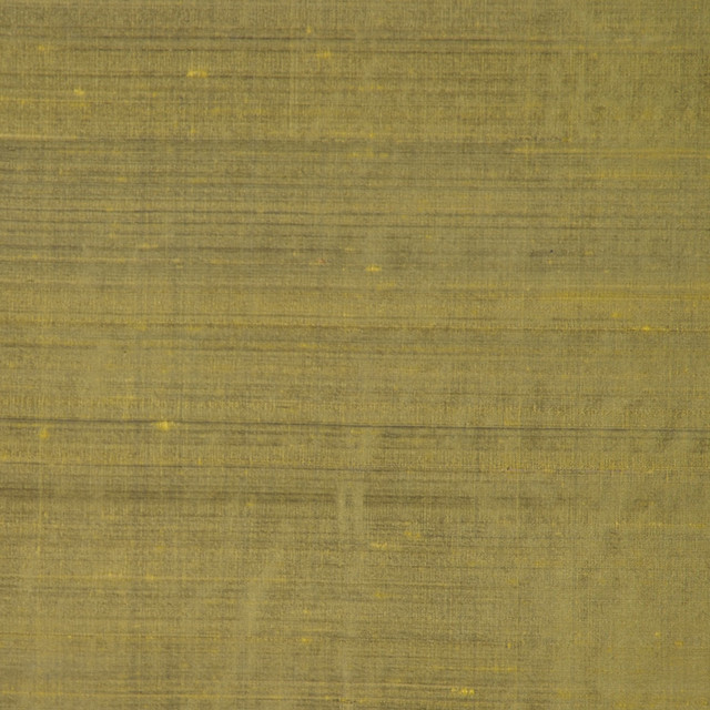 Rm Dupioni Aloe by RM CoCo Designer Fabric Dupioni by RM COCO 100% SILK Horizontal: 0 and Vertical: 0 54 - Swanky Fabrics -