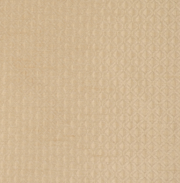 U55 16 by RM CoCo Designer Fabric Rendezvous 100% Polyester Horizontal: 0.625 and Vertical: 0.375 54 - Swanky Fabrics -