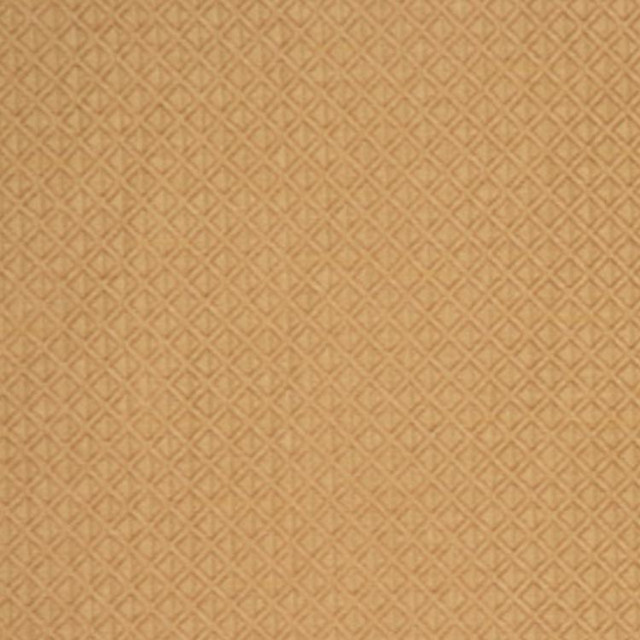 U55 8 by RM CoCo Designer Fabric Rendezvous 100% Polyester Horizontal: 0.625 and Vertical: 0.375 54 - Swanky Fabrics -