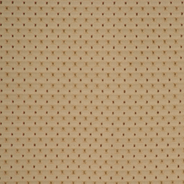 W142 228 by RM CoCo Designer Fabric Almond/Licorice 66% Rayon 33% Poly 1% Nylon 30000 Horizontal: 0.75 and Vertical: 0.625 58 - Swanky Fabrics -
