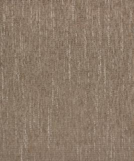 Roseau 12204 M10375 by Barrow Designer Fabric 18C04 83% POLYESTER
17% RAYON CHINA 42,000 DOUBLE RUBS </p><p>Repeat: Horizontal: and Vertical: 54" Minimum - Swanky Fabrics -
