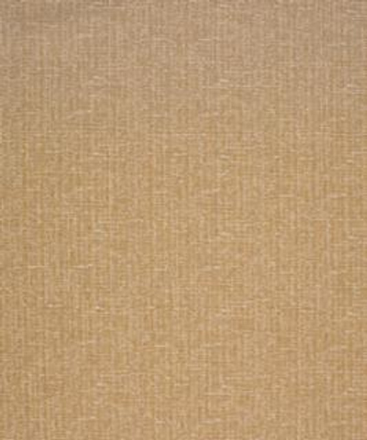 Philander 31303 M10542 by Barrow Designer Fabric 19C02 55% POLYESTER (F)
42% POLYESTER (S)
3% ACRYLIC (F) CHINA 36,000 DOUBLE RUBS </p><p>Repeat: Horizontal: and Vertical: 54" Minimum - Swanky Fabrics -