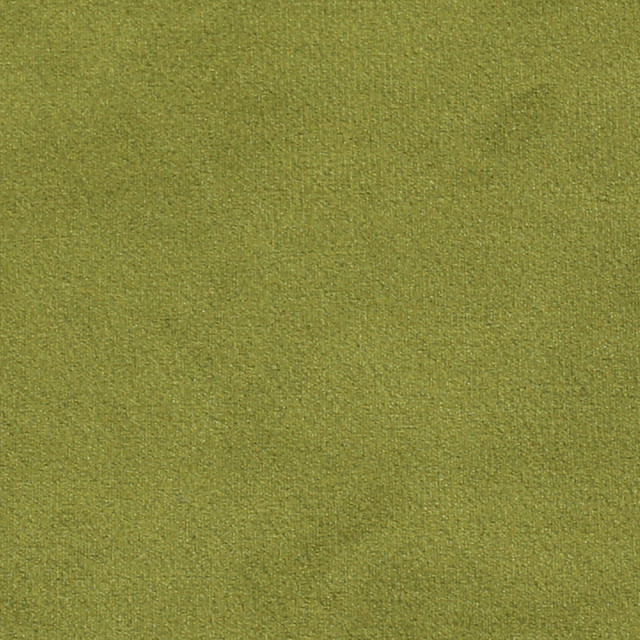 Plush 14 by Europatex Designer Fabric Plush 100% Polyester China 35,000 Double Rubs Horizontal: N/A and Vertical: N/A 55" - Swanky Fabrics -